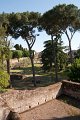 0510Foro Palatino